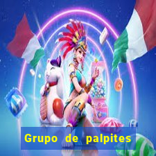 Grupo de palpites de futebol gratis